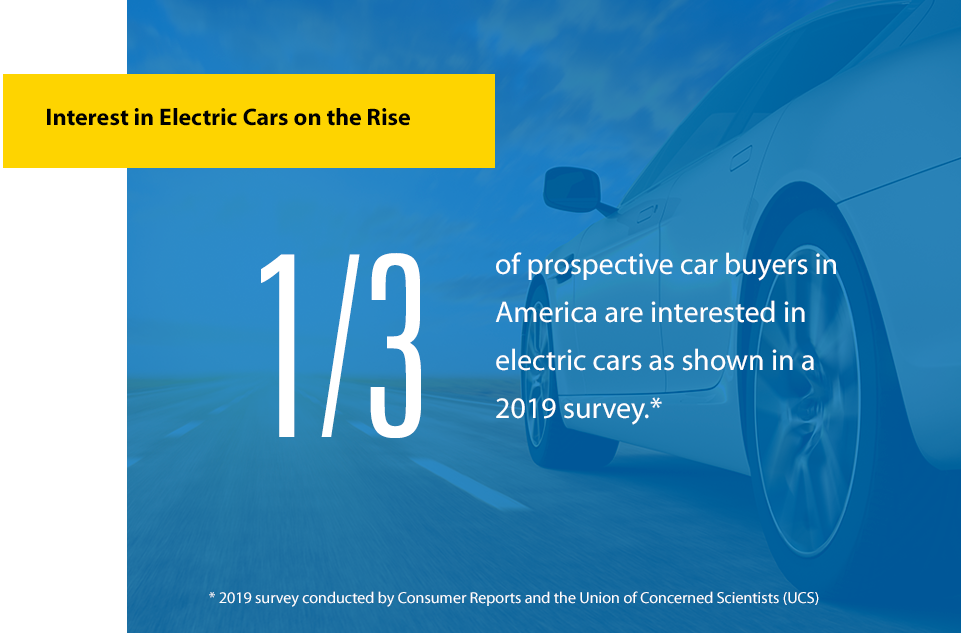 2019 Electric Tsheb Survey Image